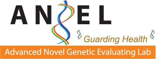 ANGEL Logo