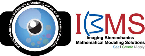 IBMS Logo
